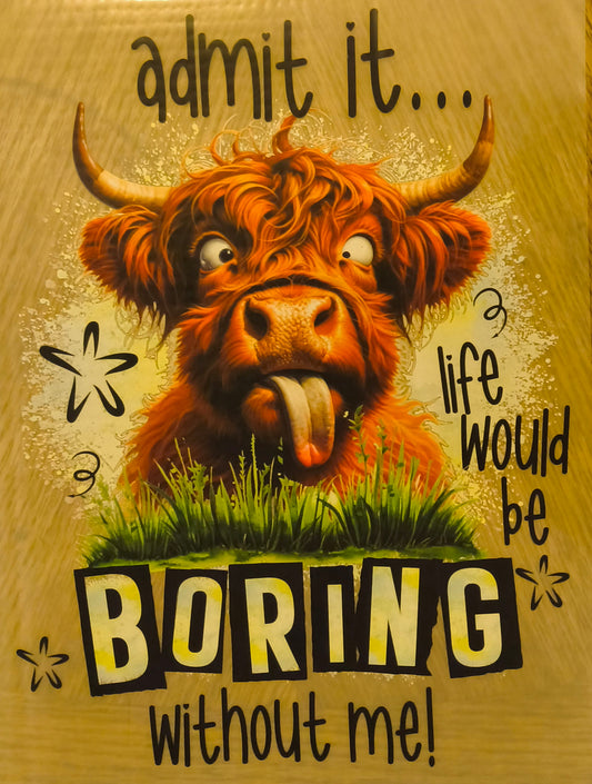 Life Boring