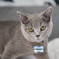 Bone Shape Pet Tag