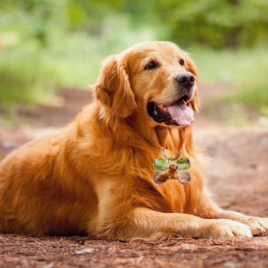 Bone Shape Pet Tag