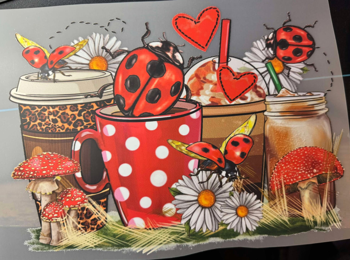 Shirt - LadyBug Coffee
